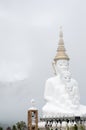 Buddha in the mist