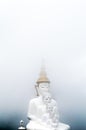 Buddha in the mist