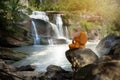 Buddha monk practice meditation Royalty Free Stock Photo