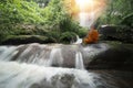 Buddha monk practice meditation at  waterfall Royalty Free Stock Photo