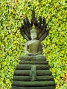 Buddha Naga yellow clover background Royalty Free Stock Photo