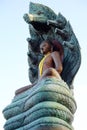 Buddha Overspread naga Royalty Free Stock Photo