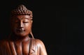 Buddha portrait against dark background