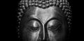 Buddha portrait isolated.