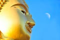 Buddha portrait isolated