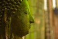 Buddha profile with moss