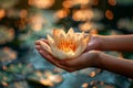 Buddha Purnima concept - female hands holding lotus flower Royalty Free Stock Photo