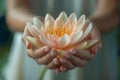 Buddha Purnima concept - female hands holding lotus flower Royalty Free Stock Photo