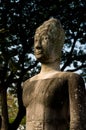 Buddha resting under a tree