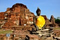 Buddha and Ruins in Wat Phra Mahathat