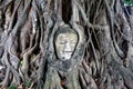 Buddha's head in banyan tree roots, ayuthaya