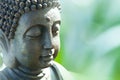 Buddha's head Royalty Free Stock Photo