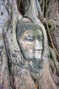 Buddha\'s head at Wat Maha That in Ayuthaya Royalty Free Stock Photo