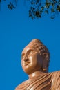Buddha`s Head, Kanchanaburi, Thailand Royalty Free Stock Photo