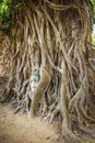 Buddha's head in tree roots, Thailand Royalty Free Stock Photo
