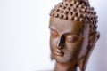 Meditating Buddha head