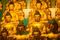 Buddha Sakyamuni statues Royalty Free Stock Photo