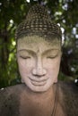 Buddha sculpture with back light from sun through leaves curtain.