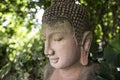 Buddha sculpture with back light from sun through leaves curtain.