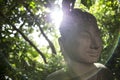 Buddha sculpture with back light from sun through leaves curtain creating halo