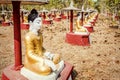 Buddha Sculpture Field