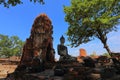 Buddha sculpture in Wat Prha Mahathat Temple in Ayutthaya. Royalty Free Stock Photo