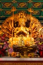 Buddha Showing A Thousand Hands Statue Royalty Free Stock Photo