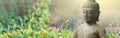 Buddha statu in natural background. Panoramic view. Space for text Royalty Free Stock Photo