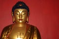 Buddha statue Royalty Free Stock Photo
