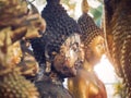 Buddha Statue in Bangkok, Thailand. Selective focus Royalty Free Stock Photo