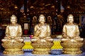 Buddha statue Chinese temple or Wat Borom Raja Kanjanapisek