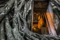 Buddha statue church old brick wall and tree root in Wat Bang Kung Samut Sakhon Thailand