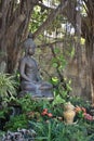 The Buddha statue in enlightenment pose