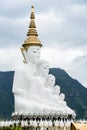 Buddha statue Royalty Free Stock Photo
