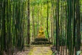 Buddha statue in forest.