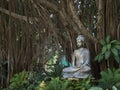 Buddha statue in the gardens of the White Temple