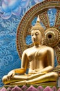 Thailand Golden Buddha statue on a asia style background