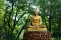 Buddha statue in the green forest background.