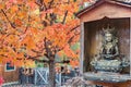 Buddha statue. Green Tara in wooden enclosure with autumn scene and red orange maple tree