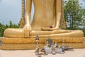 Buddha statue hands Royalty Free Stock Photo