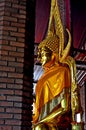 Buddha images at temples in Ayutthaya, Thailand Royalty Free Stock Photo