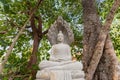 Buddha statue of Huay Kaew Temple Pagoda Lop Buri Province, Thailand