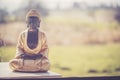 Buddha statue in India: Relaxation, balance and spirituality