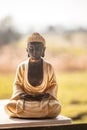 Buddha statue in India: Relaxation, balance and spirituality