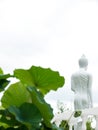 Buddha statue and lotus green leaves Royalty Free Stock Photo