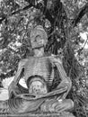 Buddha statue in Meditation form with very thin body sitting under Cannon ball tree in black and white