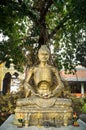 Buddha statue meditation under cannonball tree in the temple background. Thin Buddha sculpture sit and starve under the tree