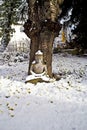 Buddha statue meditation in winter and snow in front of a cherry