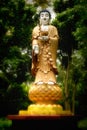 Buddha statue Nan Tien Temple, Wollongong Australia Royalty Free Stock Photo