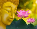 Buddha statue with pink blooming lotus in garden Royalty Free Stock Photo